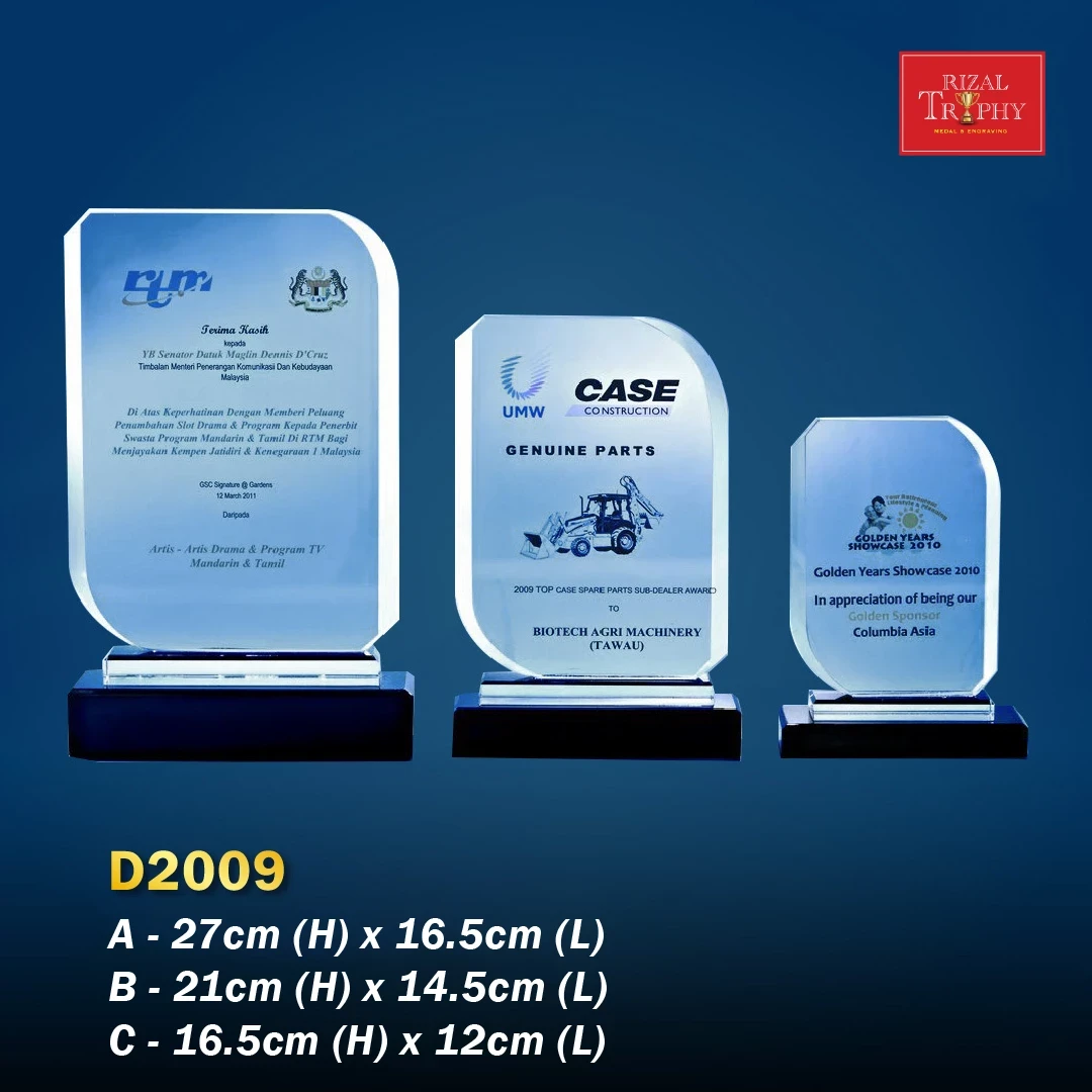 D2009