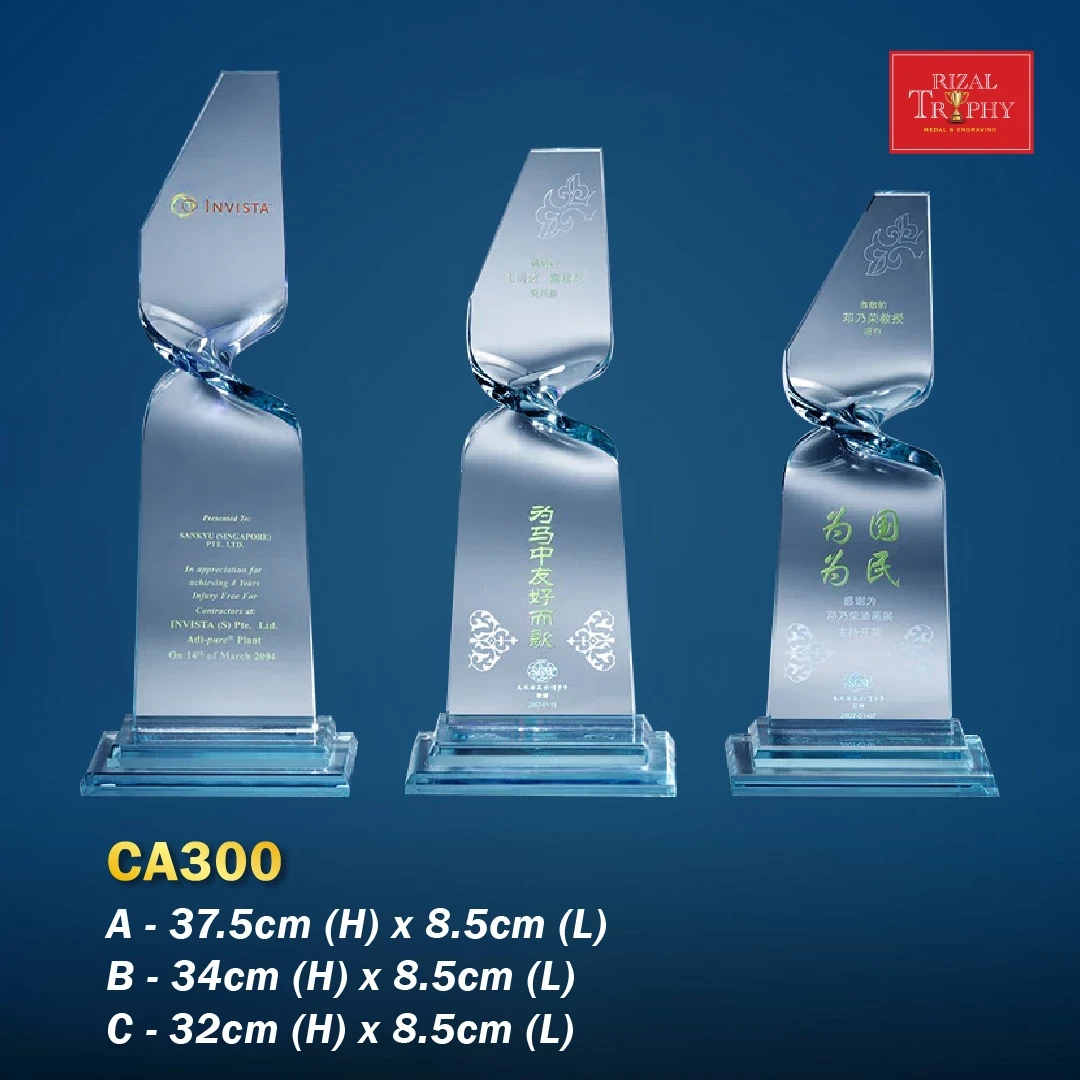 CA300