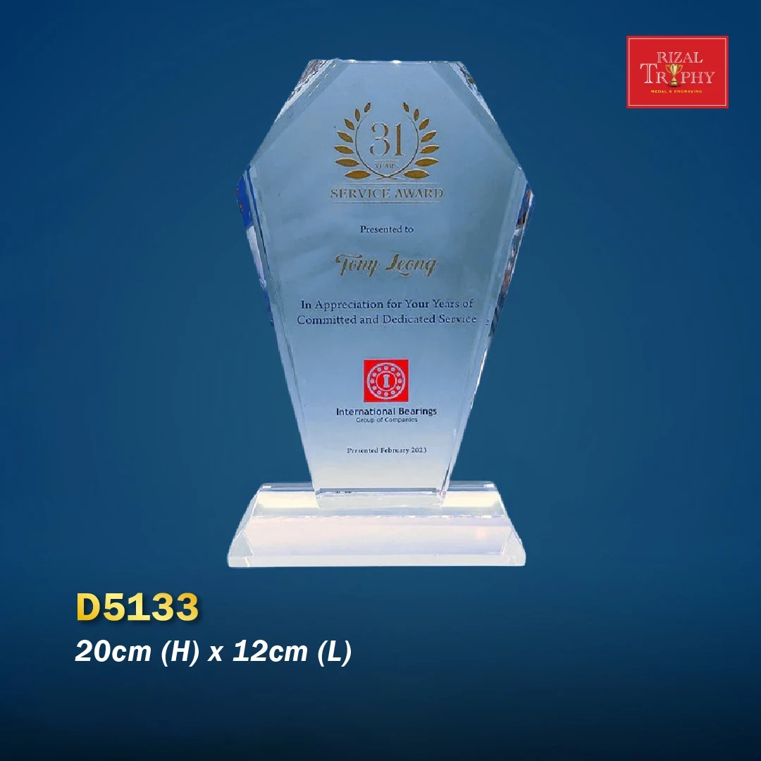 D5133